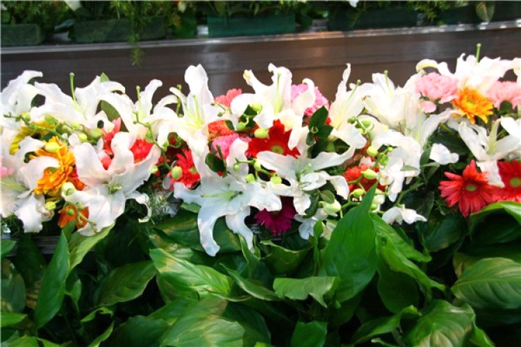 广东番禺区花圈 殡葬一条龙 灵堂灵车