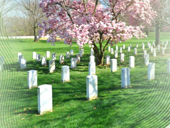 广东越秀殡仪一条龙办理 灵堂布置