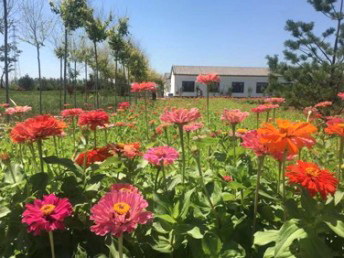 广东省花都灵车水晶棺出租