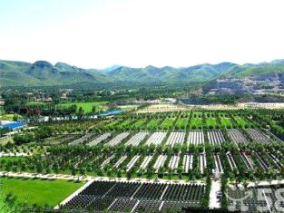 广东增城殡仪馆殡仪服务 寿衣 白事24小时一条龙服务