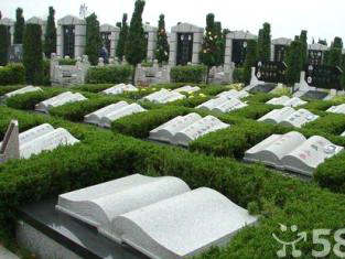 广东海珠殡葬白事一条龙 花圈
