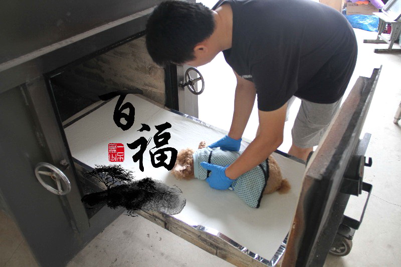 广东海珠区专业白事一条龙 殡葬服务一条龙