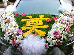 广东省南沙灵车接运